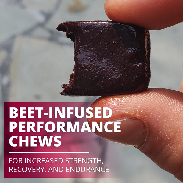 Some Useful Top Beet Chews Reviewed (Which one should I buy