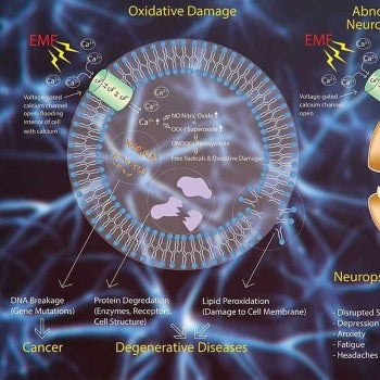 A Deep Dive: How to Reduce Exposure to Electromagnetic Fields EMFS, RFS, and About Our Perfect Power Box
