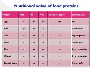 What is the Nutritional Value of Protein? - Dr. Rick Cohen, M.D.