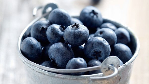 Best Foods & Recipes for Longevity