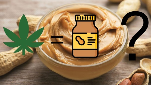 Weed, Fat, & Peanut Butter (An interesting truth)