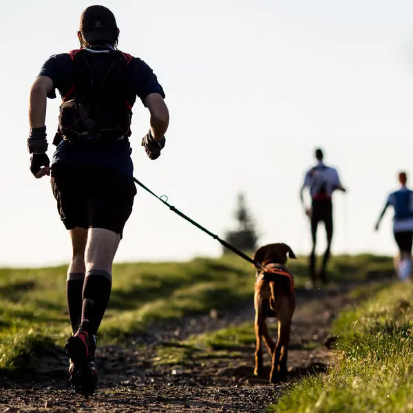 7 Principles to Perform Better in Sport and Life