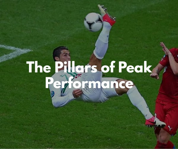 The Pillars of Peak Performance
