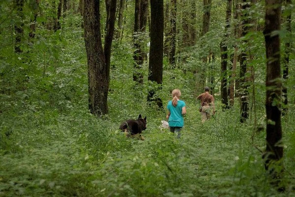 How to Naturally Prevent Ticks, Fleas, Poison Ivy Problems