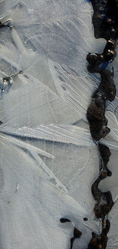 Quantum Biology and Energy Optimization for Health Thought Experiment