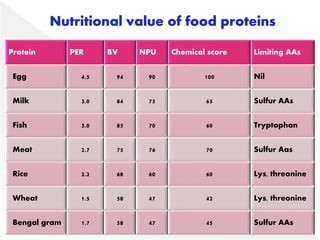 What is the Nutritional Value of Protein? Part 2.