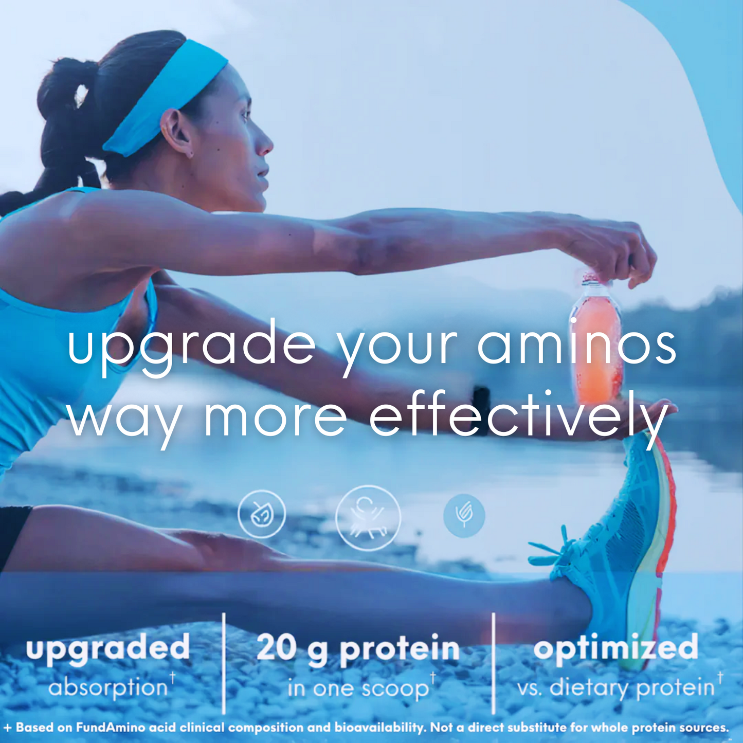 Amino Acids and Kidney Function