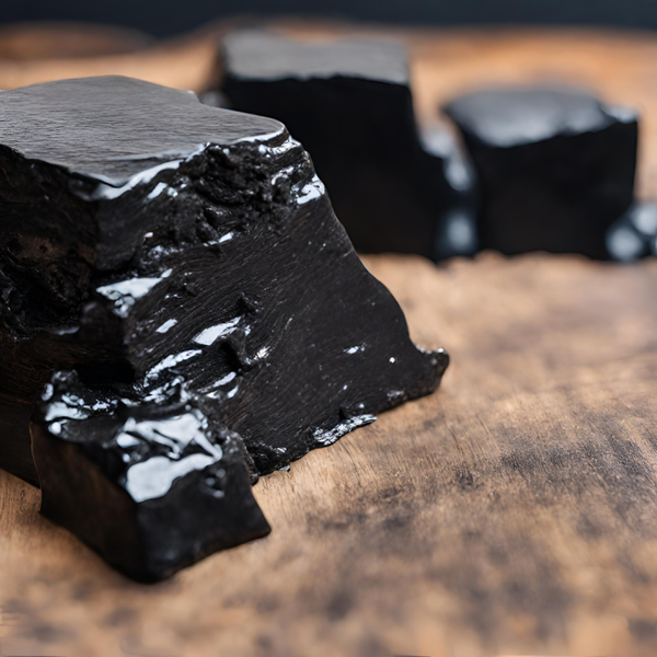 What is Shilajit & How Safe is this Natural Phytocomplex with Potential Procognitive Activity?