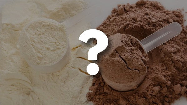 Series: The Best Protein Powders (Top 10 things to know)