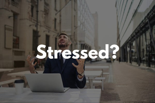 Stress & The Nervous System