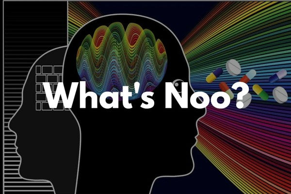 The Condensed Guide to Nootropics