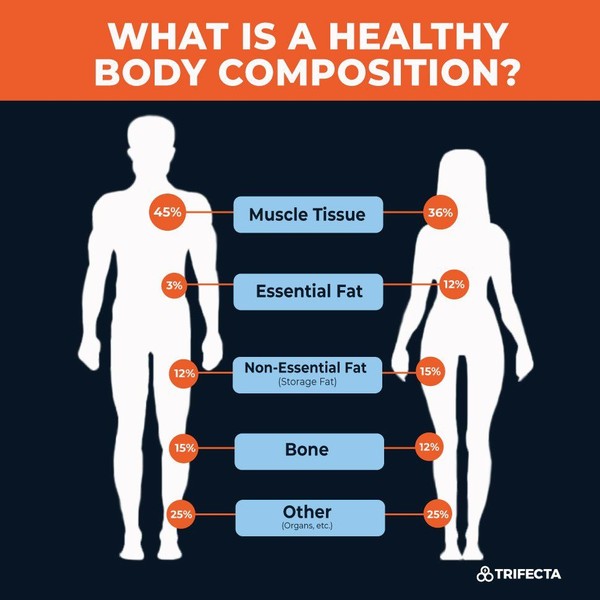 Body Composition 101