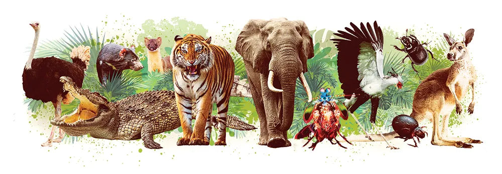 The world’s most powerful animals, ranked by Popular Science