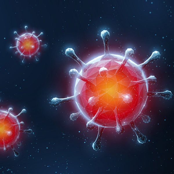 Coronavirus May Be a Blood Vessel Disease, Which Explains Everything