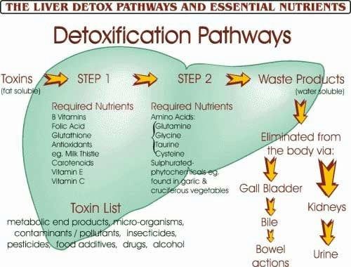 12 Foods That Help Support Liver Detox