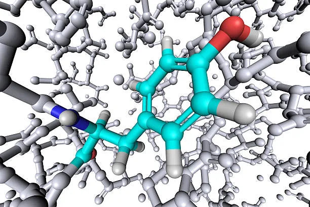 The Basics Of Essential Amino Acids