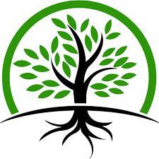 Resources to Help You Learn About the Root Cause Protocol