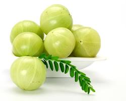 Amla Fruit: Nature's Richest Source of Vitamin C (Ultimate Guide)