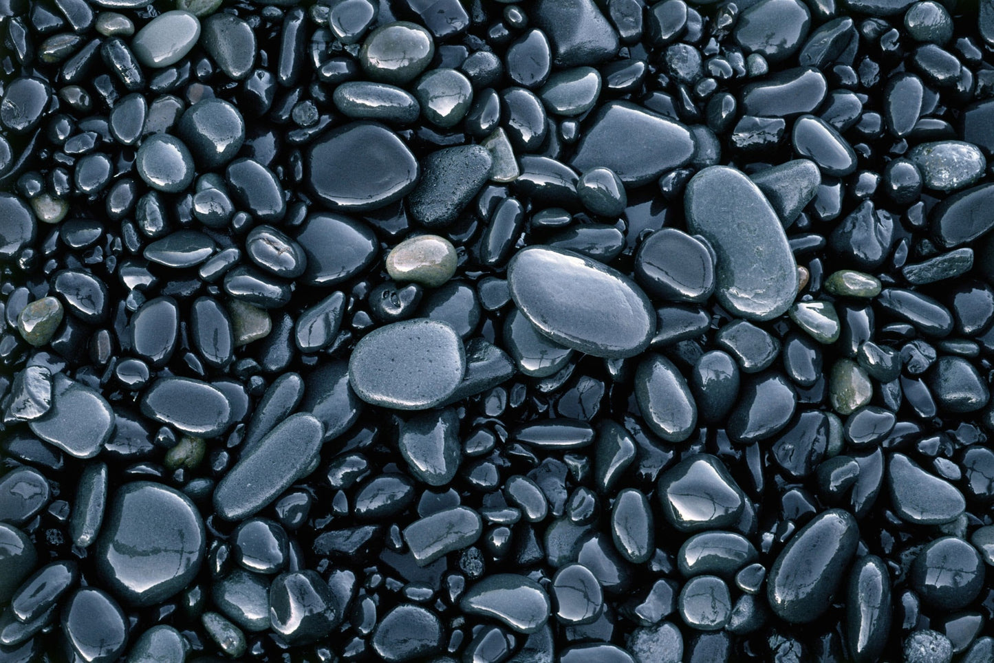 What is Shilajit & How Safe is this Natural Phytocomplex with Potential Procognitive Activity?