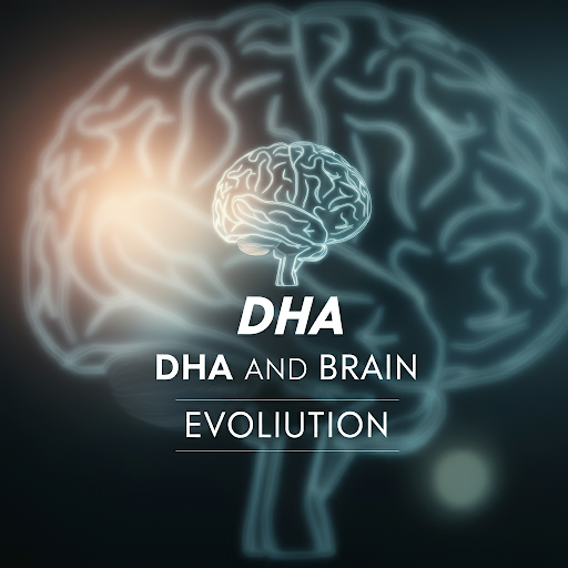 DHA and Brain Evolution: Is DHA the Best Prenatal Vitamin?