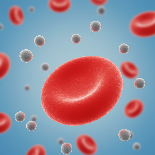 Beyond Magnesium: Understanding RBC Magnesium as a Mitochondrial Health Marker