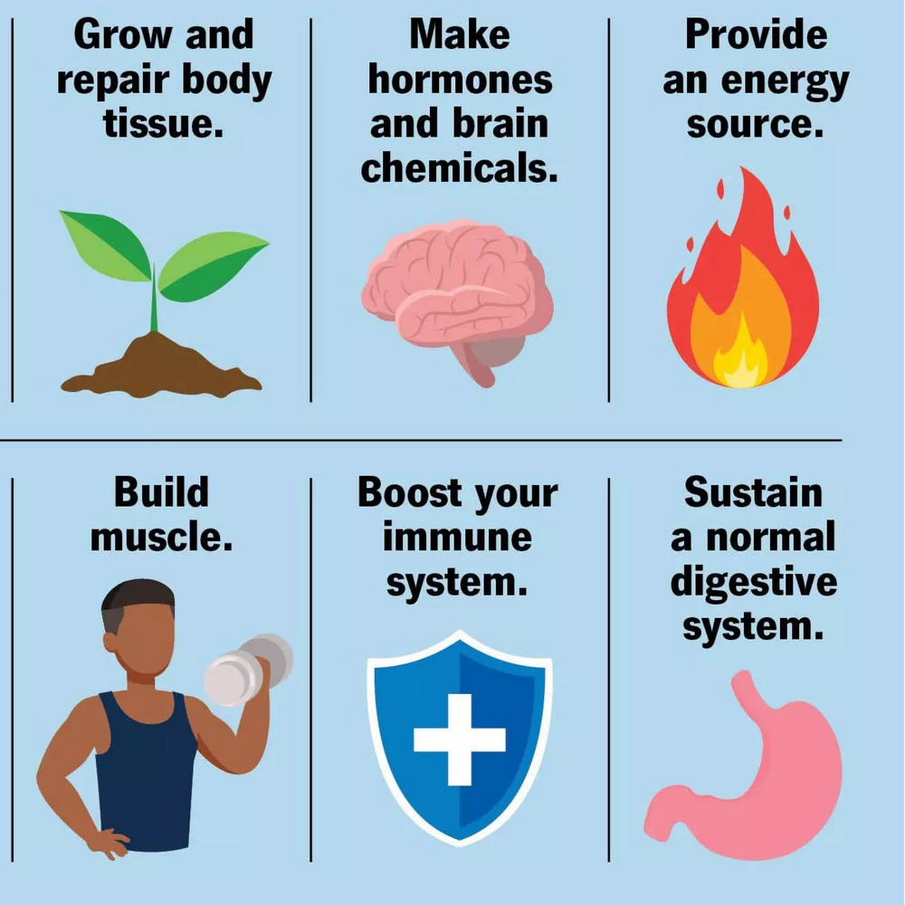 Clinically-Studied Benefits