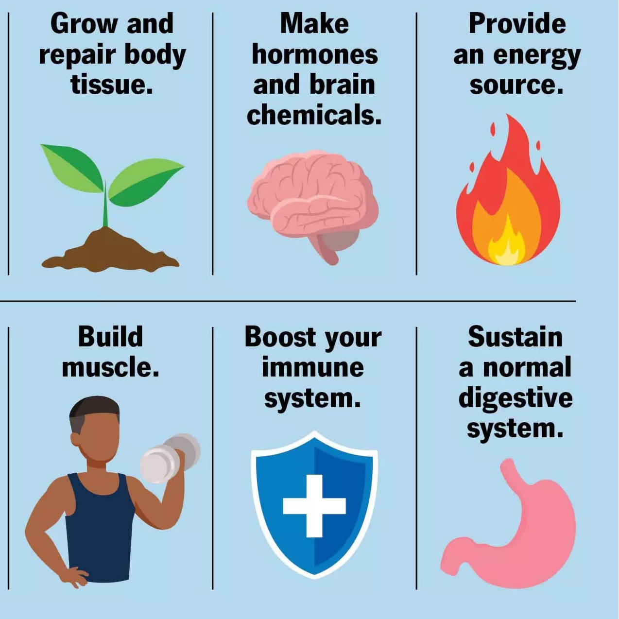 Clinically-Studied Benefits