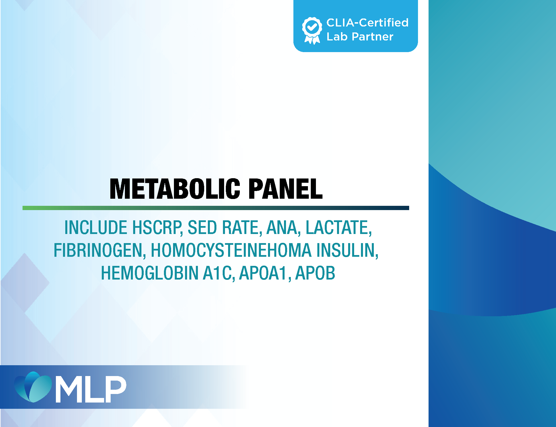 Metabolic Panel - include hsCRP, Sed rate, ANA, Lactate, Fibrinogen, Homocysteine HOMA Insulin, Hemoglobin A1C, ApoA1, ApoB