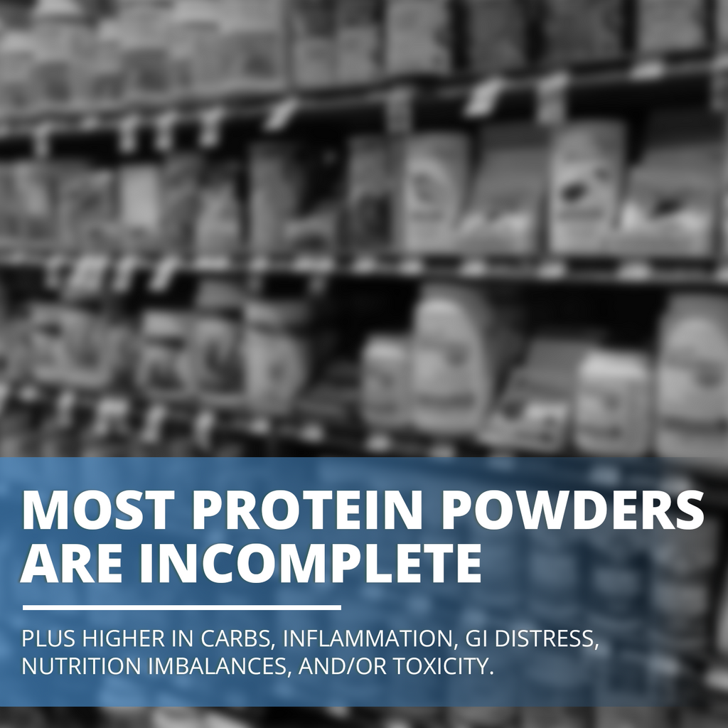 complete paleo protein powder with bone broth protein
