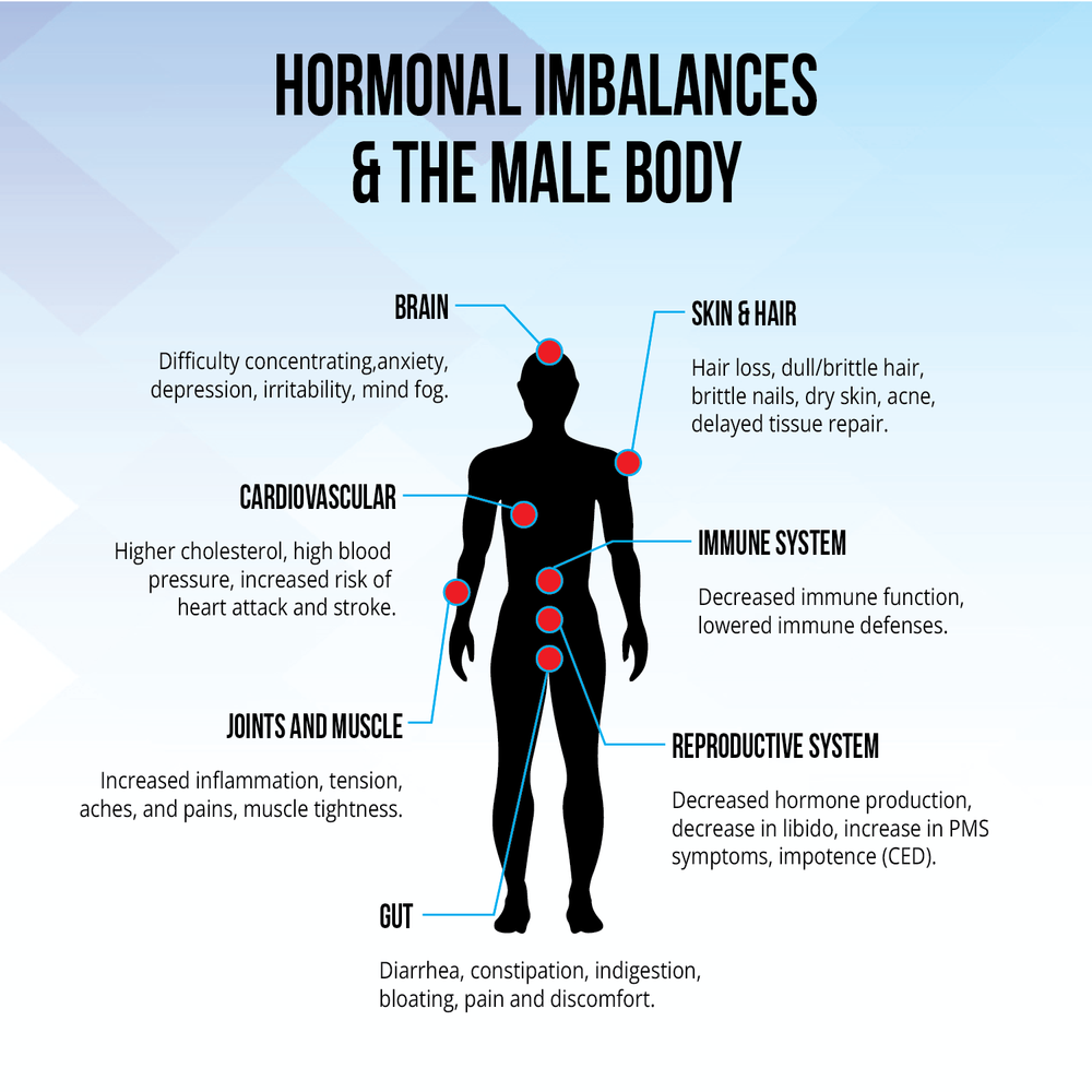 
                      
                        Saliva Hormone Testosterone
                      
                    