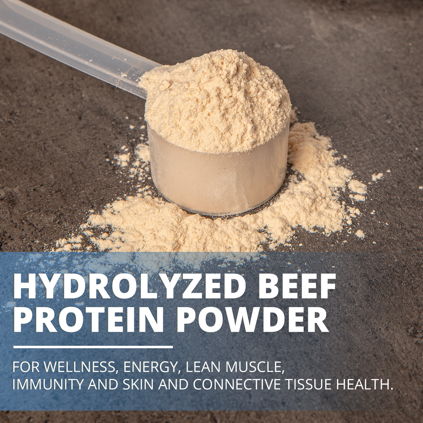 
                  
                    RCP PURECLEAN PROTEIN™ Vanilla - Protein and Collagen Peptides
                  
                