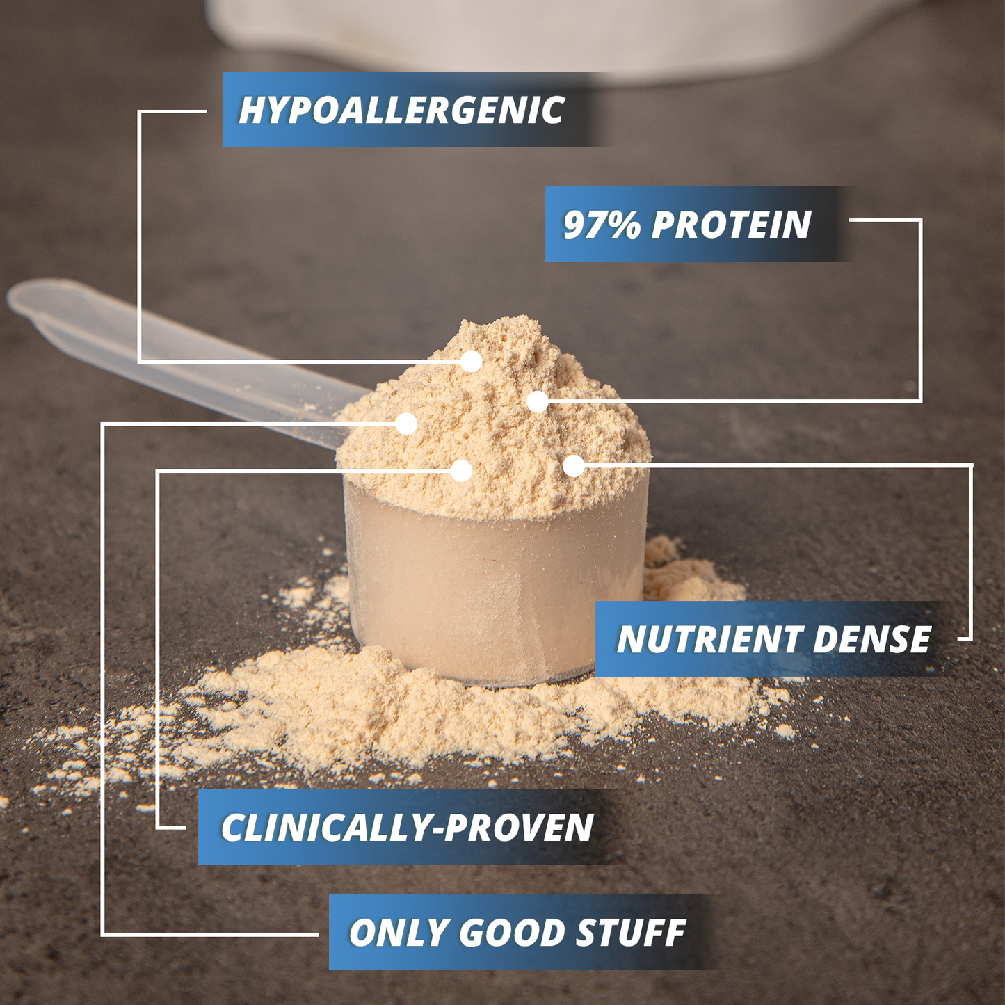 
                  
                    RCP PURECLEAN PROTEIN™ Vanilla - Protein and Collagen Peptides
                  
                