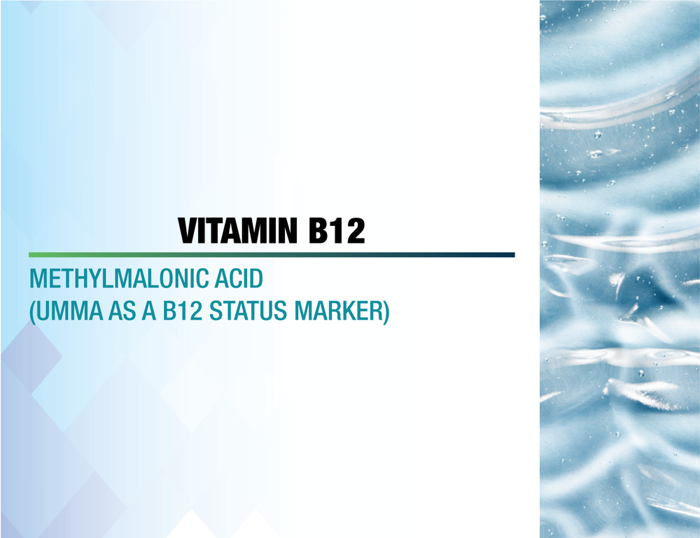 Vitamin B12 Assessment